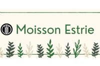 11e édition de la Guignolée des quartiers à Sherbrooke au profit de Moisson Estrie